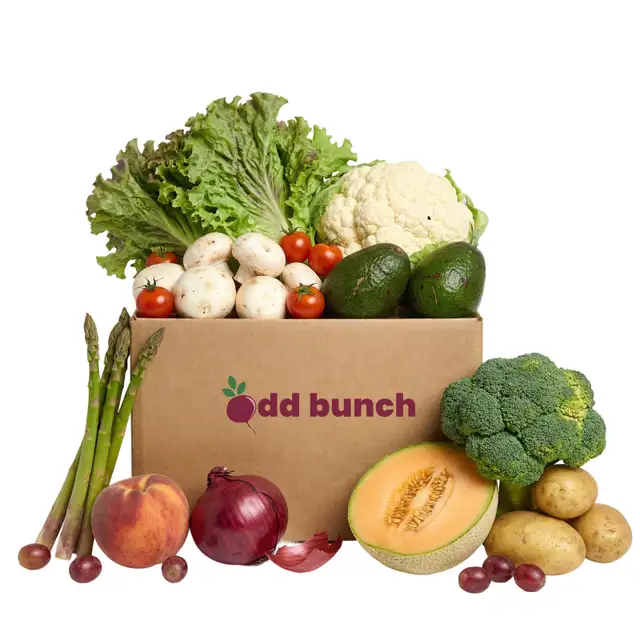 Delivery Drivers Needed – Earn More with SUV!