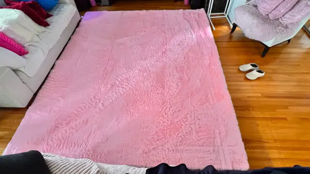 Brand new 8' X 10' Pink Area Rug - Photo 4