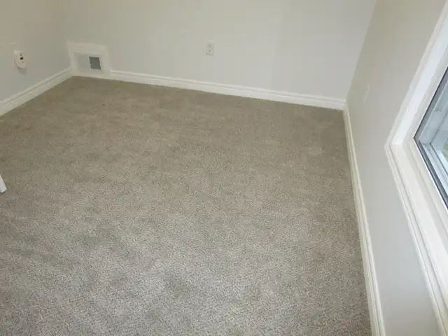 1 Bedroom Renovated, Niagara Falls, Available Immediately! - Photo 11
