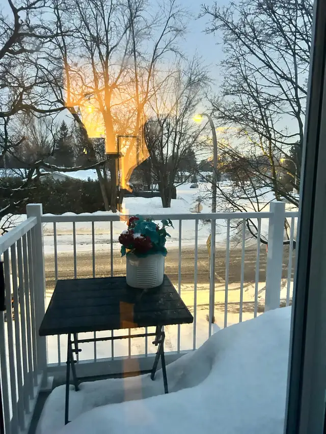 Superbe et spacieux 4 ½ à St-Bruno-de-Montarville - Photo 11