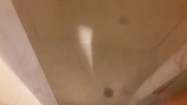 1 Bedroom basement Walkout utilities included Weston Rd/ Finch - Photo 7