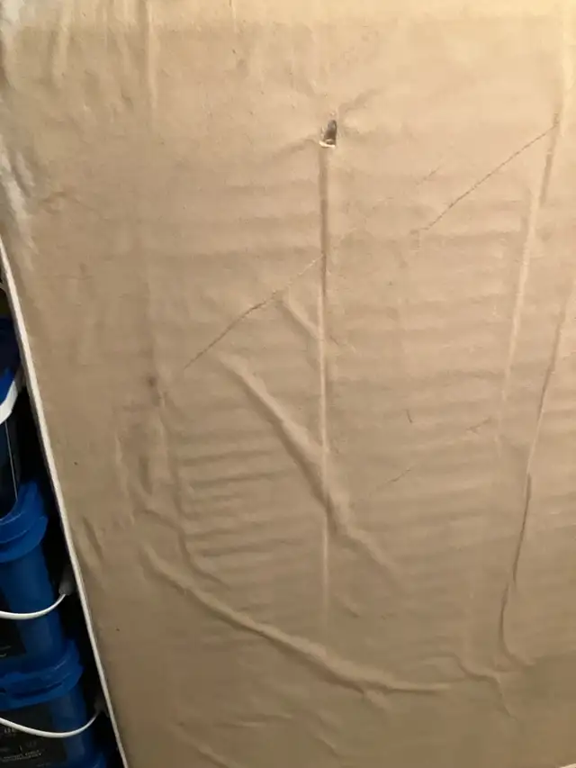 queen size bed and frame