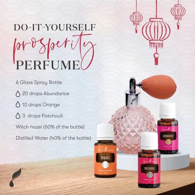 YOUNG LIVING ESSENTIAL OILS FOR BEGINNERS - Photo 8