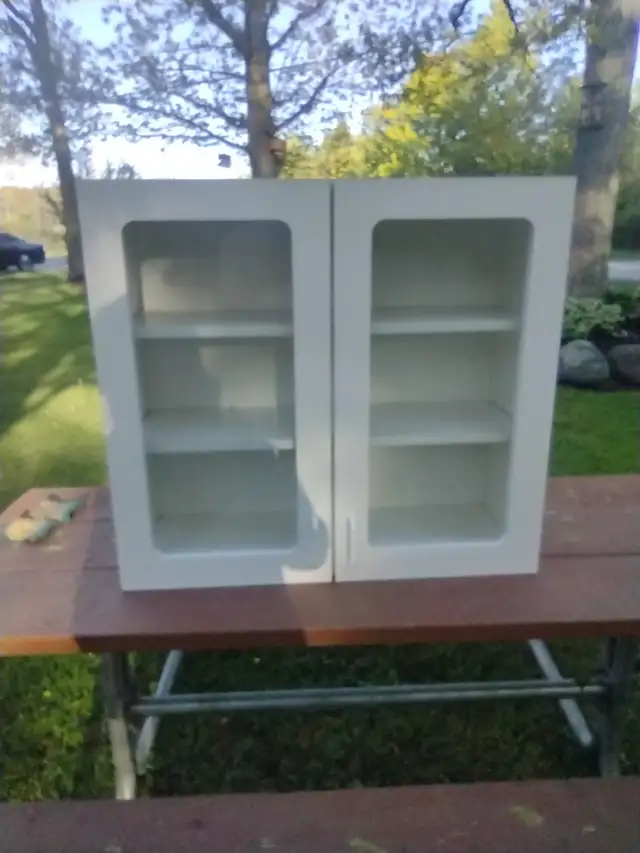 Cabinet with glass doors and adjustable shelves
