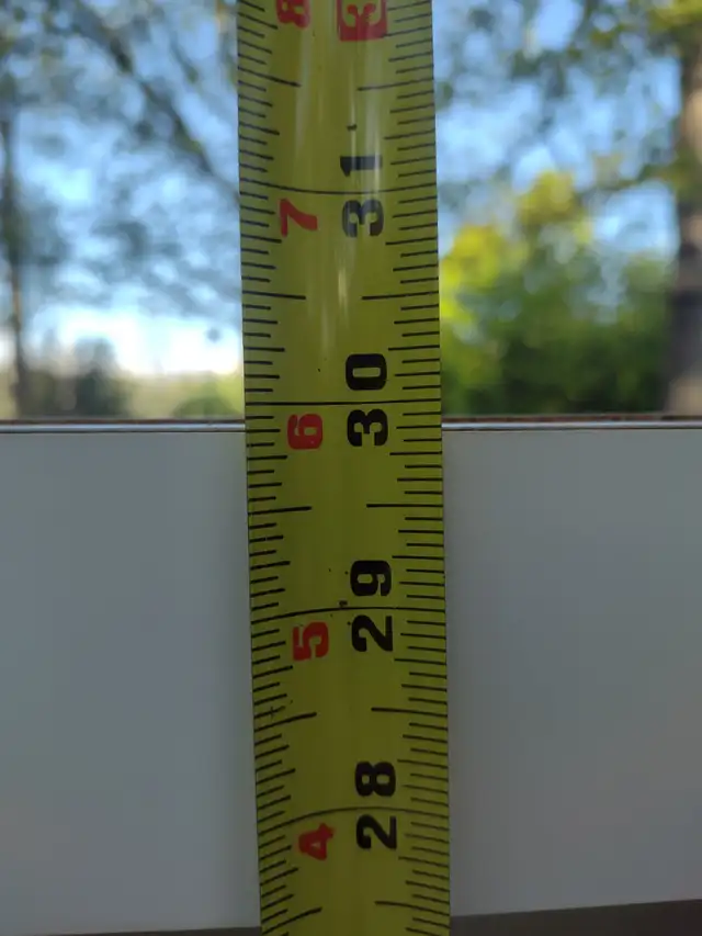 Cabinet with glass doors and adjustable shelves - Photo 4