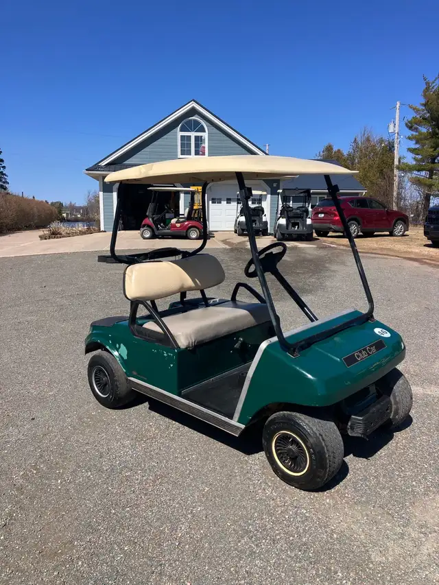 07 Clubcar DS Gas Golf Cart Sale Pending! - Photo 2