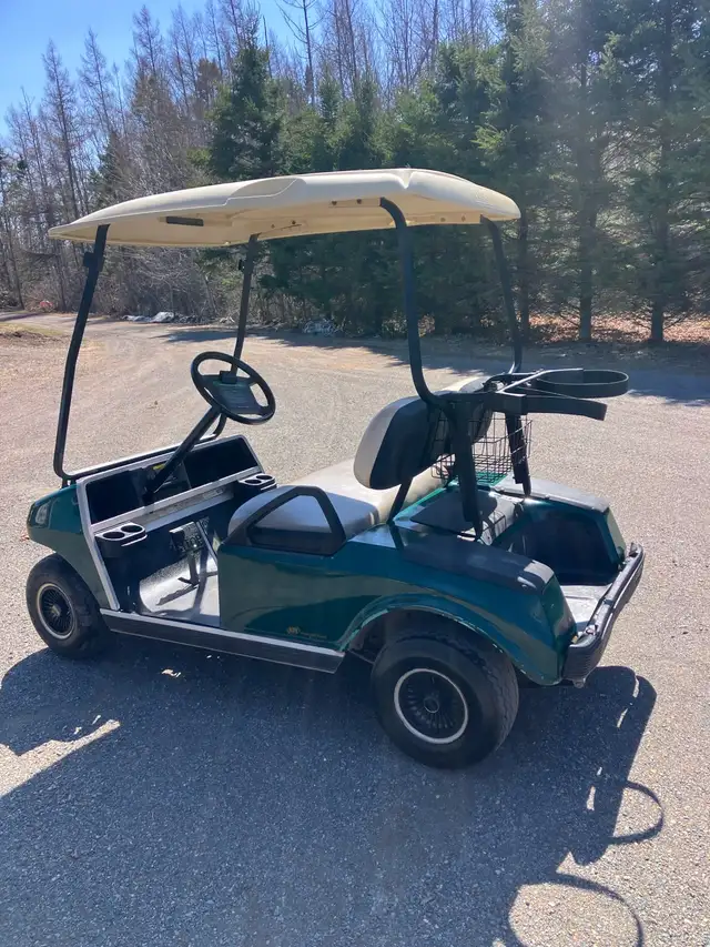 07 Clubcar DS Gas Golf Cart Sale Pending! - Photo 5