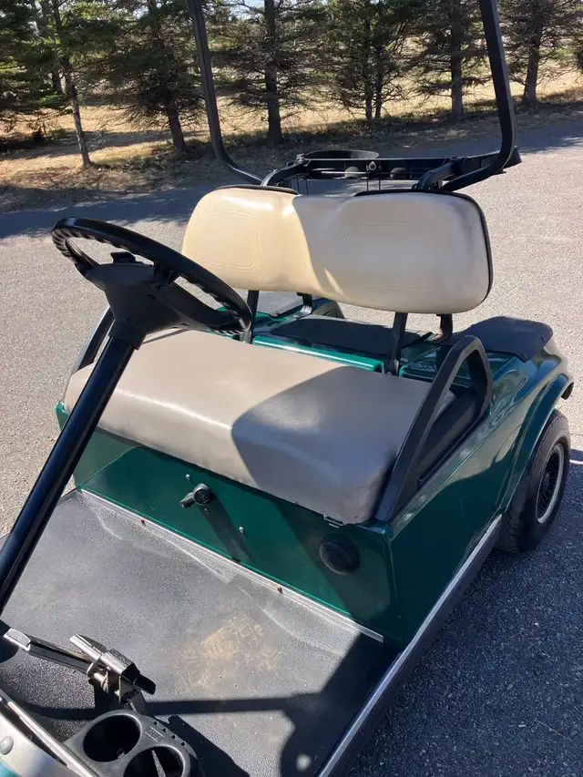 07 Clubcar DS Gas Golf Cart Sale Pending! - Photo 7