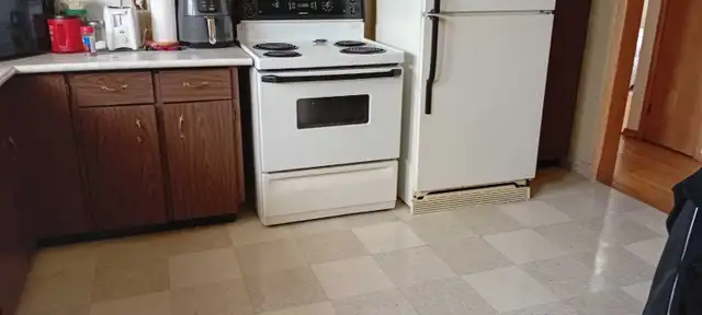 Room for rent. Female Only.  Avaliable May 1st - Photo 4