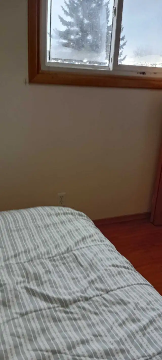 Room for rent. Female Only.  Avaliable May 1st - Photo 5