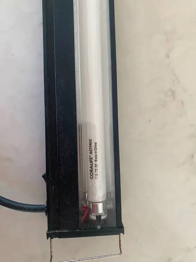Aquarium Light Fixture for a 30' tank with an Actinic Lamp - Photo 2