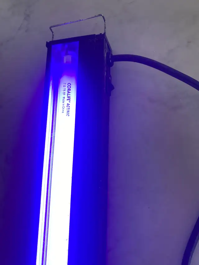 Aquarium Light Fixture for a 30' tank with an Actinic Lamp - Photo 5