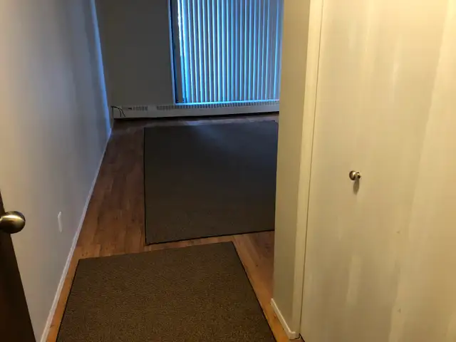 Red Deer 1 bdrm suite 1090 per mth incl all utilities but power - Photo 2