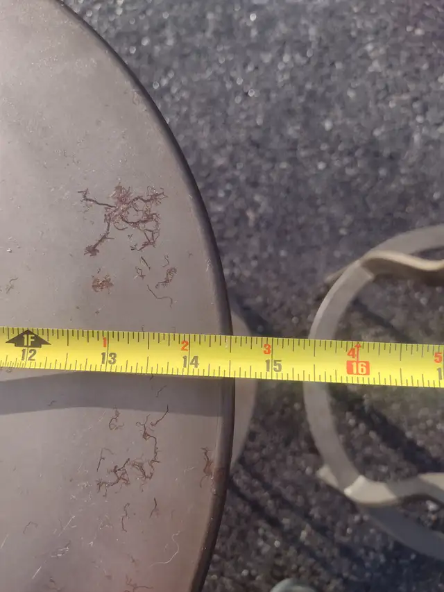 3 metal swivel adjustable stools - Photo 4