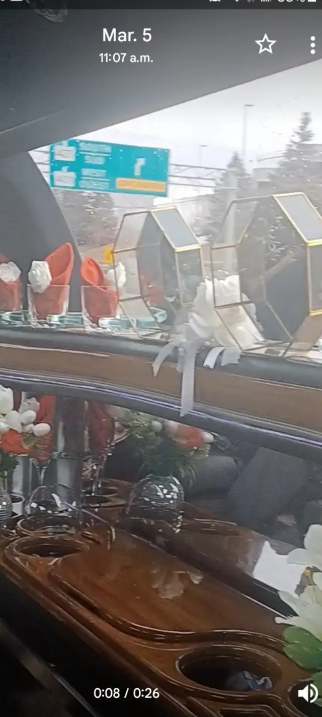 Limousine Service - Photo 8