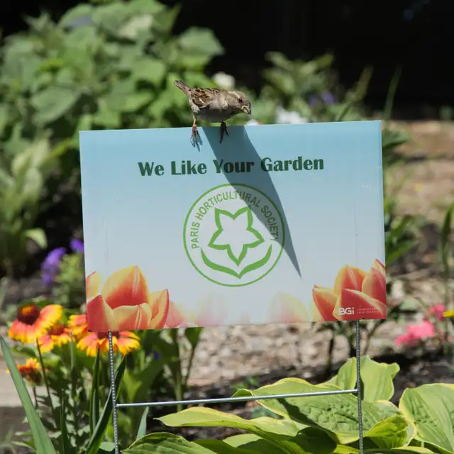 PHS Garden Tour June 6th & 7th - Photo 4