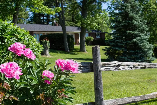 PHS Garden Tour June 6th & 7th - Photo 8