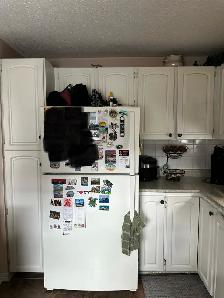 Kitchen and Bathroom Renovation Special