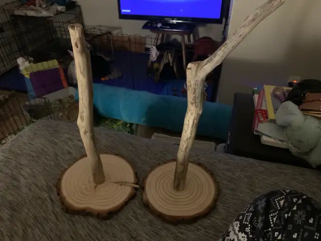 wall mount perches - Photo 3