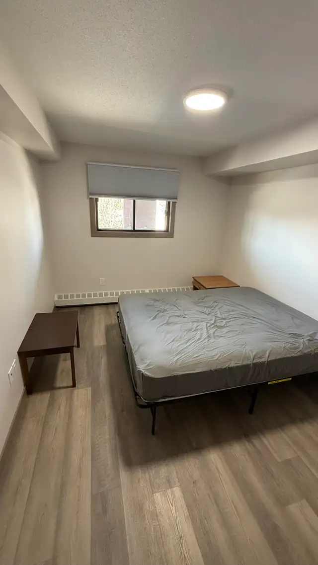 Private room for rent - Photo 7