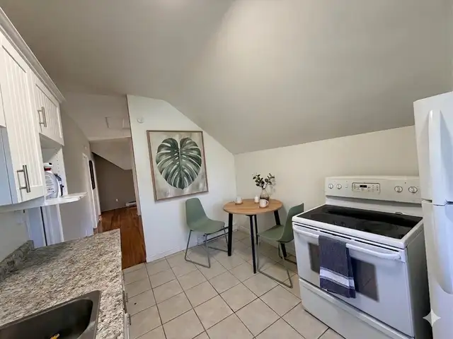 Upper Apartment in Duplex for Rent - Photo 10