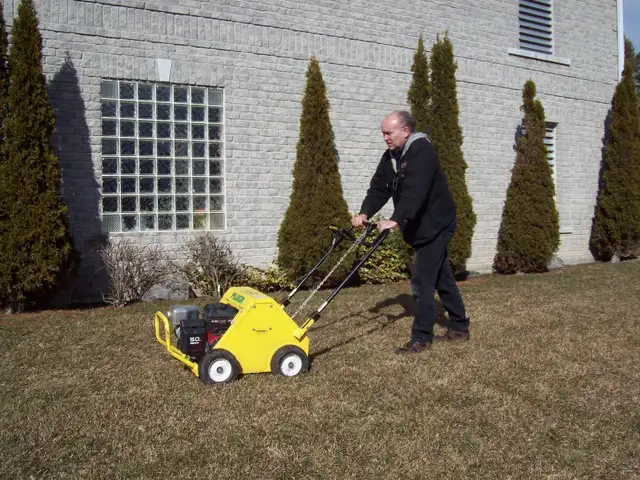 Grubs and Chinch Bugs Damaged Your Lawn? We can repair - Photo 8