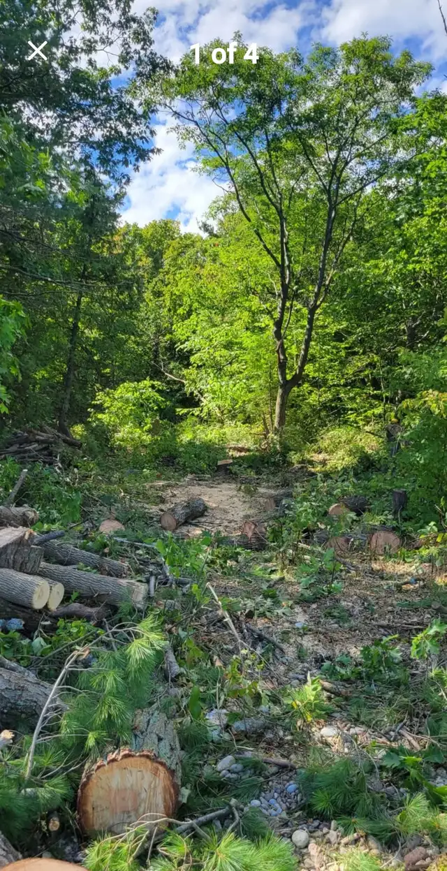 vacent land on georgian bay