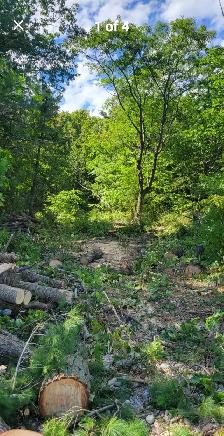 vacent land on georgian bay
