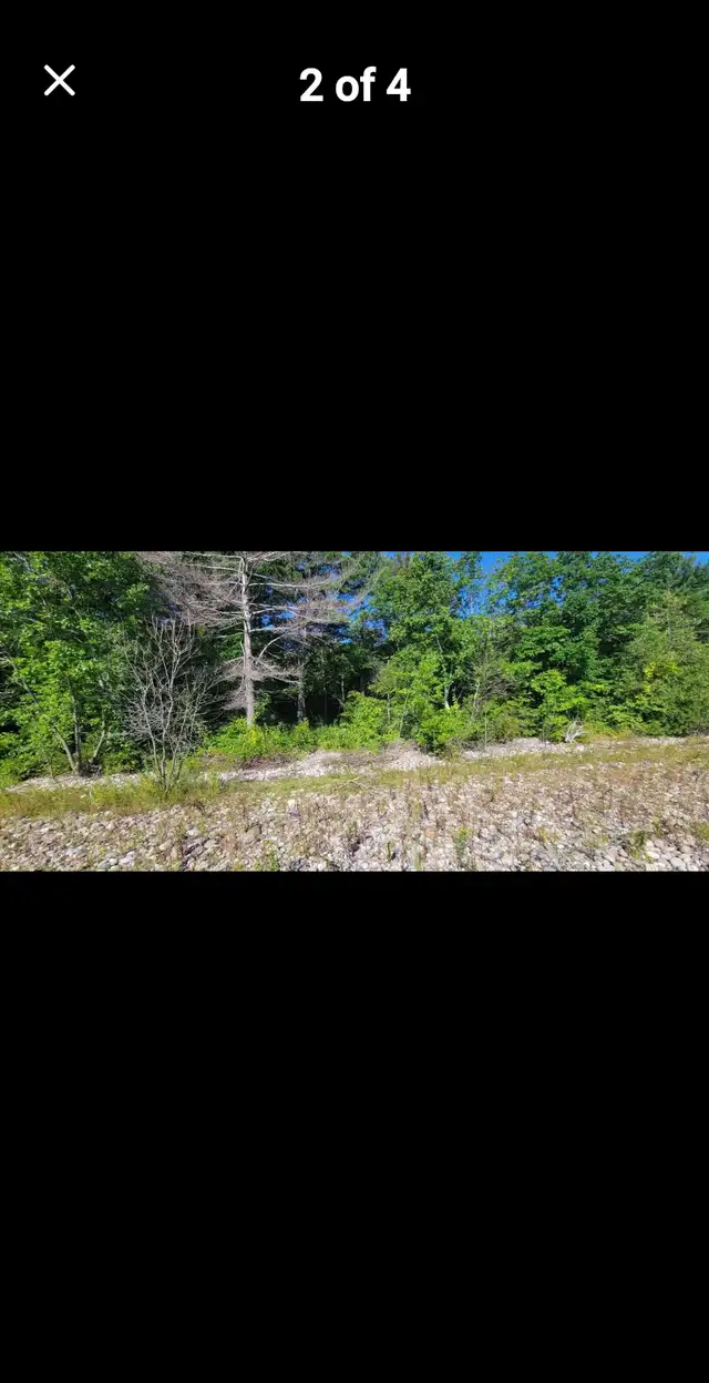 vacent land on georgian bay - Photo 2