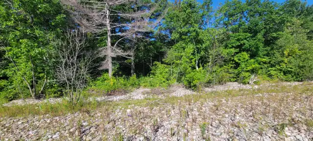 vacent land on georgian bay - Photo 5