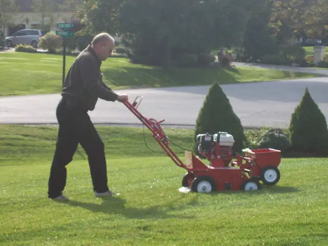 Lawn Dethatching