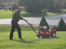 Lawn Dethatching