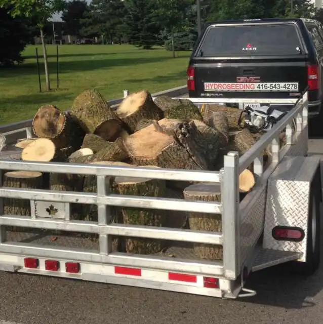 Small Tree Cutting and Shrub Removal - Photo 2