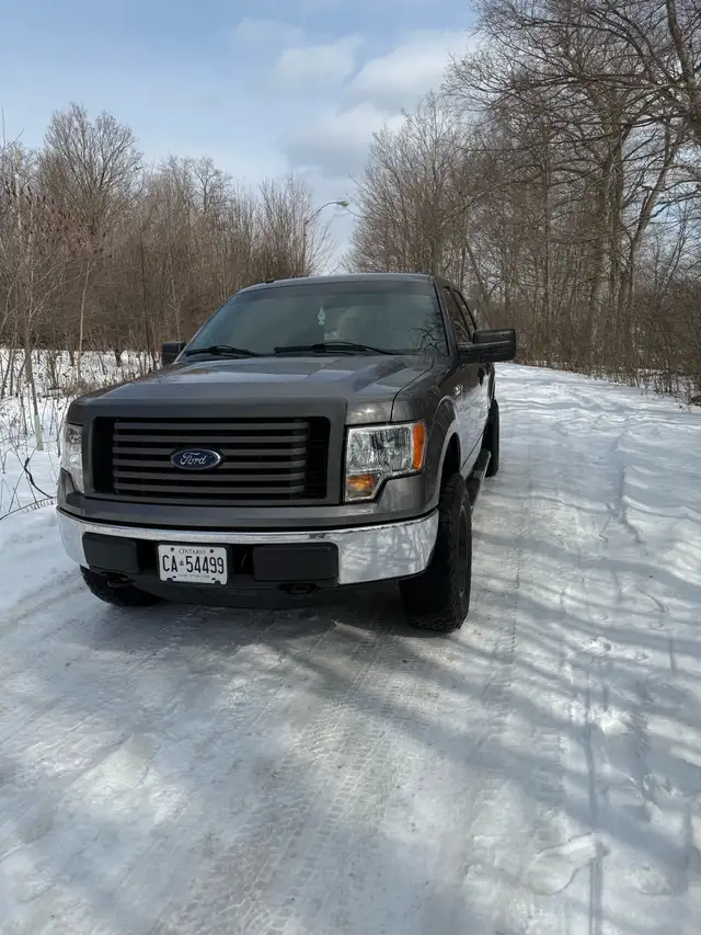 2012 Ford F150 4x4 5.0 Low Kms