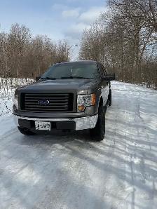 2012 Ford F150 4x4 5.0 Low Kms