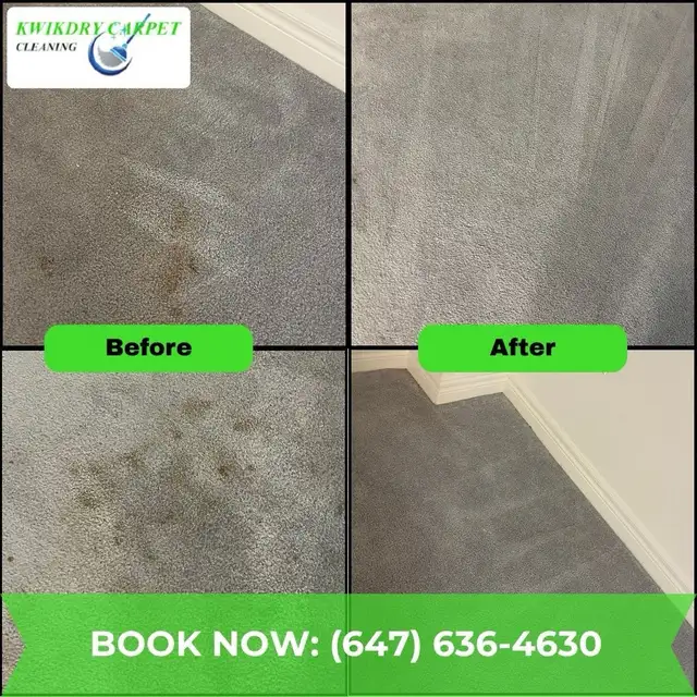 carpet and upholstery cleaning