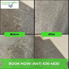 carpet and upholstery cleaning