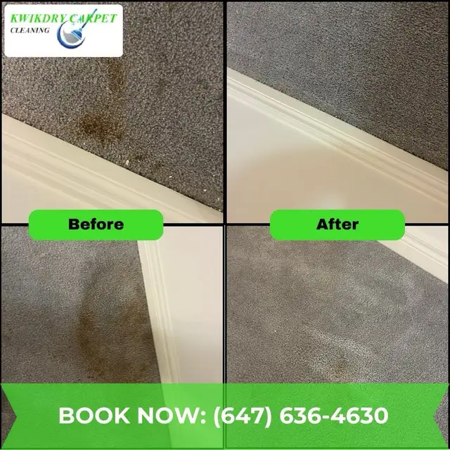 carpet and upholstery cleaning - Photo 2