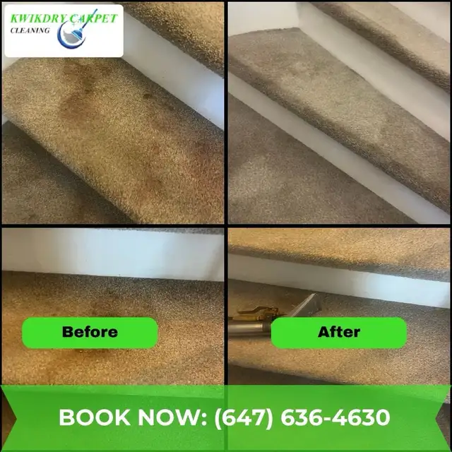 carpet and upholstery cleaning - Photo 3