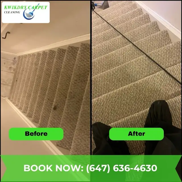 carpet and upholstery cleaning - Photo 4