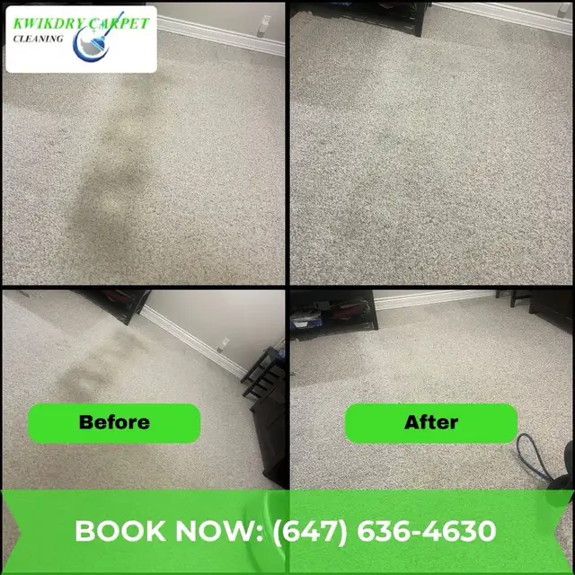 carpet and upholstery cleaning - Photo 5