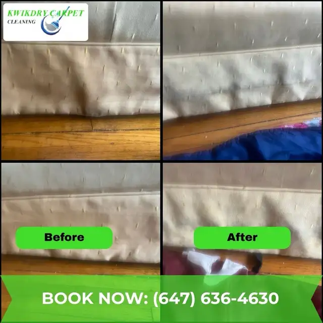 carpet and upholstery cleaning - Photo 6