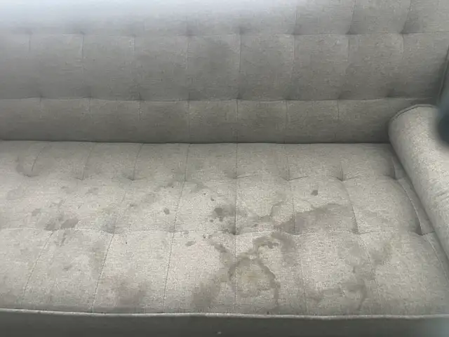 carpet and upholstery cleaning - Photo 7