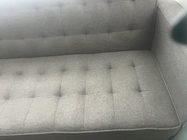 carpet and upholstery cleaning - Photo 8