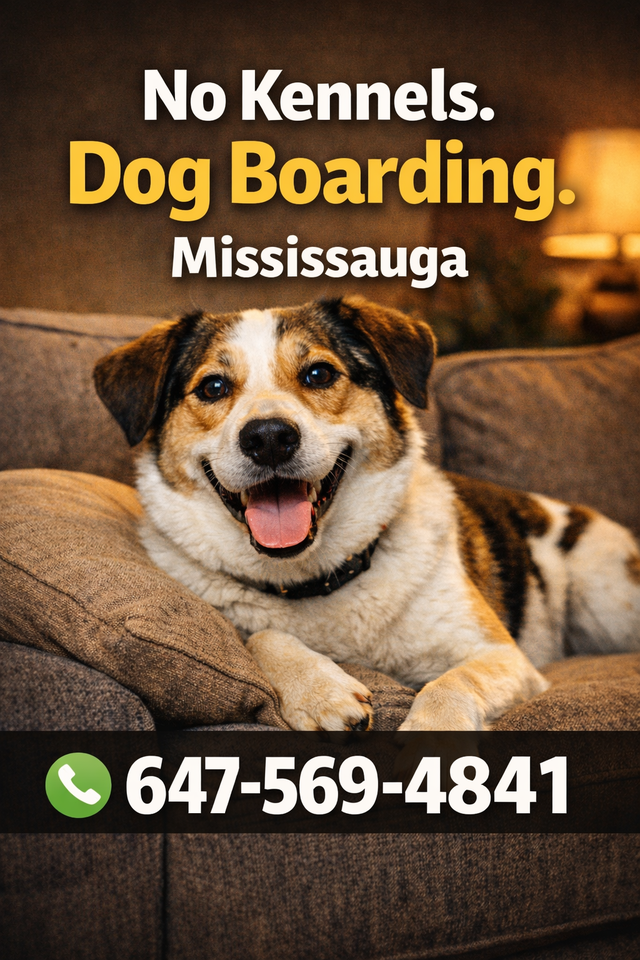 Dog Boarding Mississauga Home Dog Boarding & Pet Sitting Near u