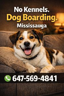 Dog Boarding Mississauga Home Dog Boarding & Pet Sitting Near u