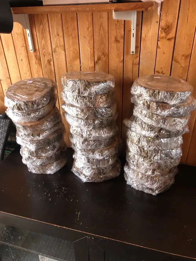 Plus de 25 tranches de bois 7po à 20$ chacune