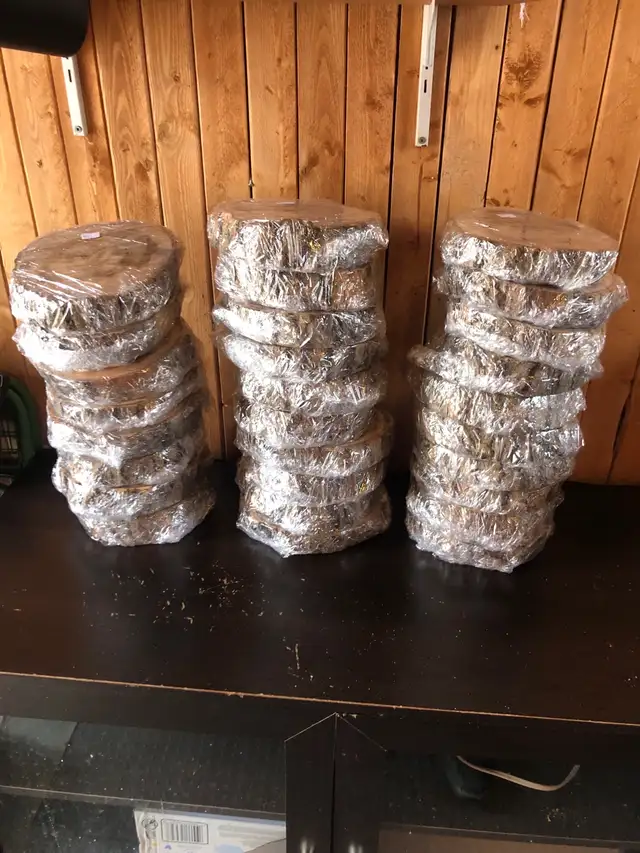 Plus de 25 tranches de bois 7po à 20$ chacune - Photo 4