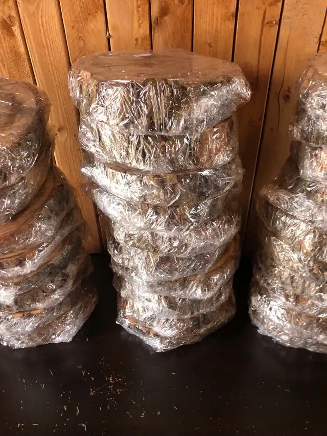 Plus de 25 tranches de bois 7po à 20$ chacune - Photo 5