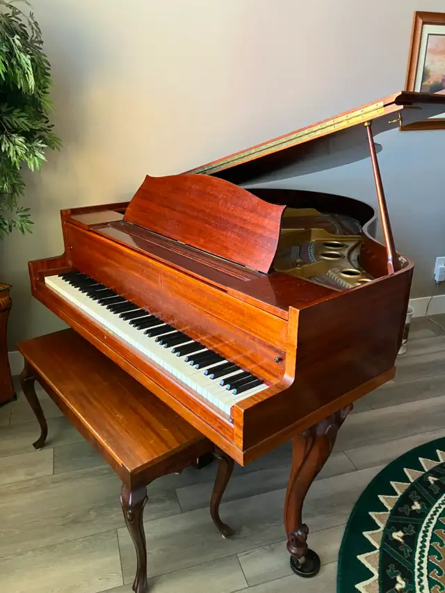 Baby Grand Piano - Photo 2